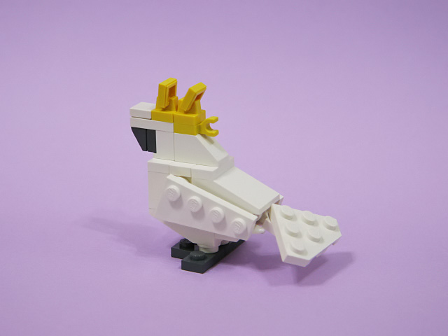 11cockatoo_a.jpg
