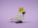 11cockatoo_b.jpg