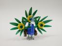 12-Peacock