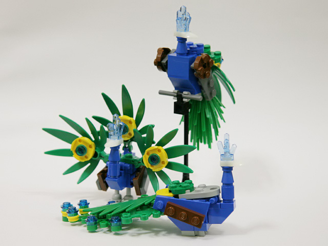 1213_peacock.jpg