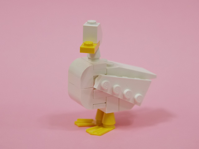 17duck_a.jpg