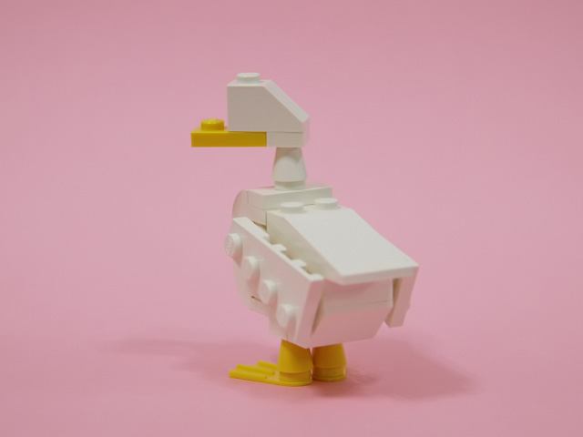 17duck_b.jpg