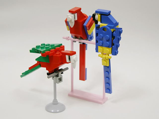 1921_macaw.jpg