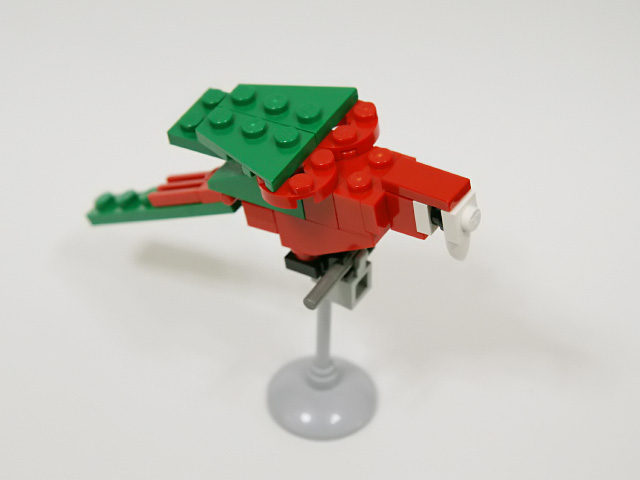 21macaw_b.jpg