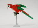 21-Macaw