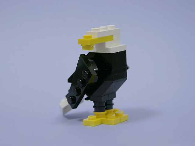 22baldeagle_b.jpg