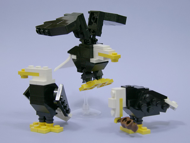 2224_baldeagle.jpg