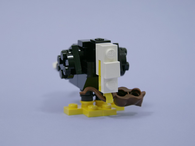 23baldeagle_b.jpg
