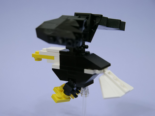24baldeagle_b.jpg