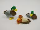 0809_mallard.jpg