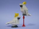 1011_cockatoo.jpg