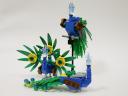 1213_peacock.jpg