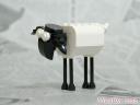 sheep_0c.jpg
