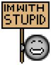 withstupid.gif
