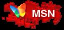 p_msn.gif