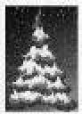 pine_tree_w_snow1.jpg