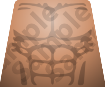 torso-muscular-lightflesh-wm.png