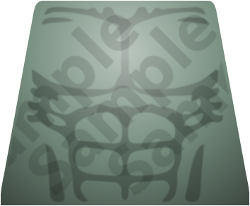 torso-muscular-sandgreen-wm.png