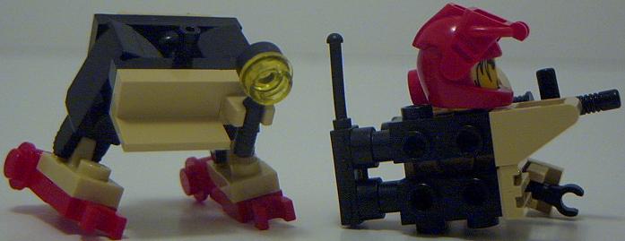 bear_08.jpg