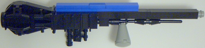 coyote_23.jpg
