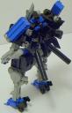 coyote_05.jpg