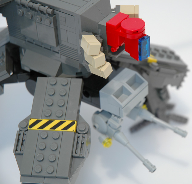 crab_05.jpg