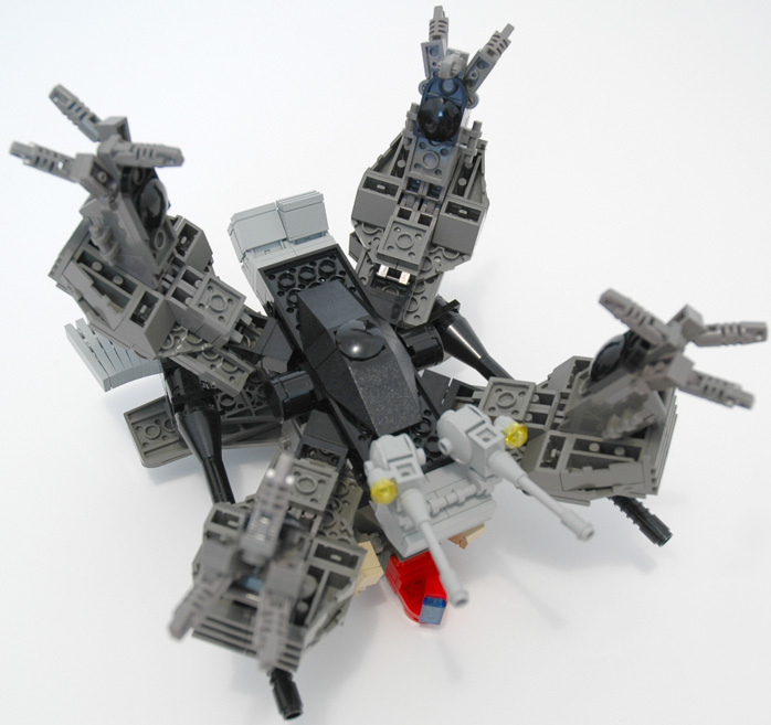 crab_07.jpg