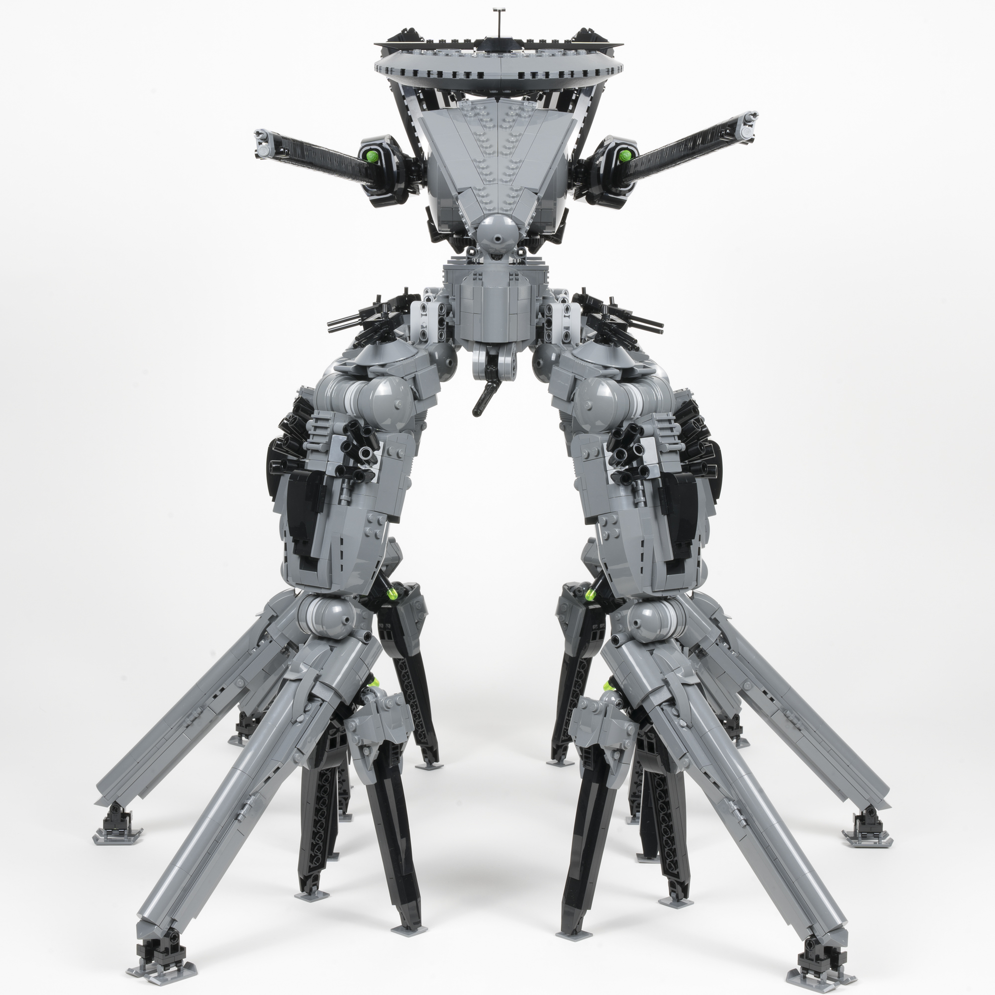 mantis_04.jpg