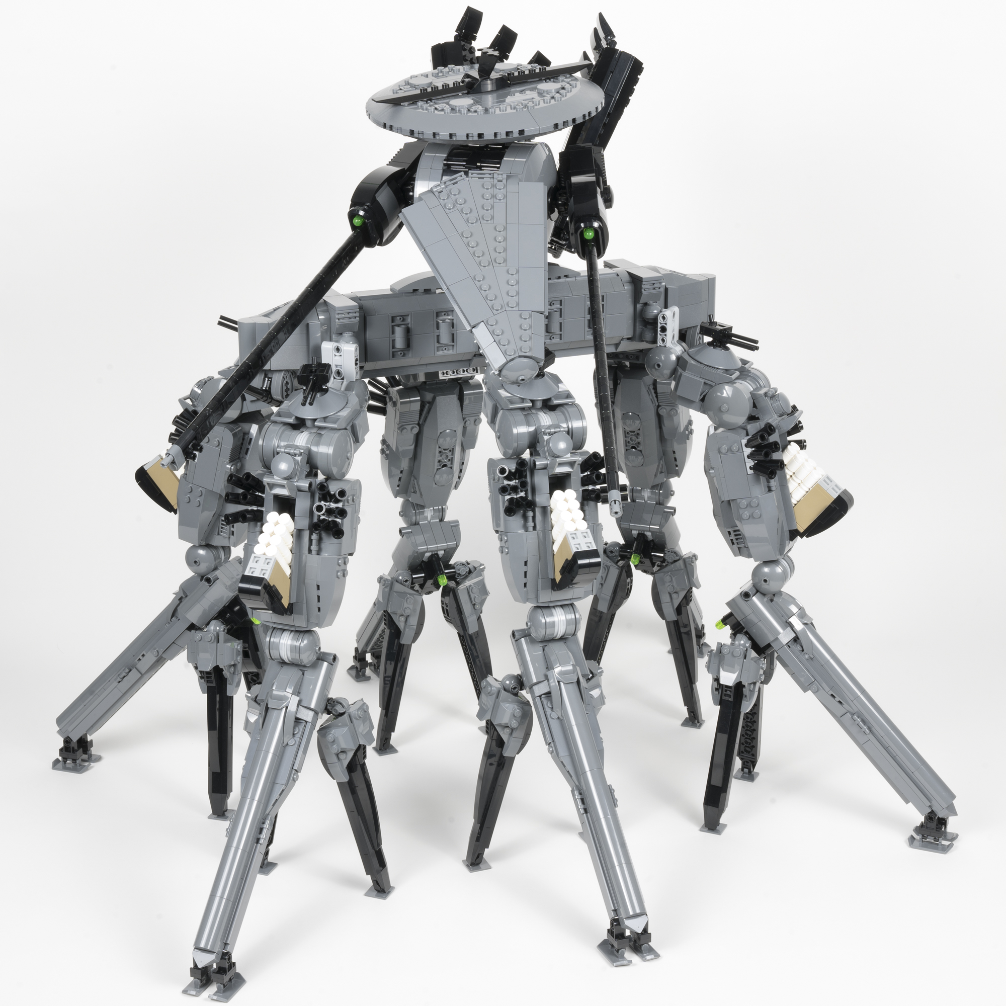 mantis_09.jpg