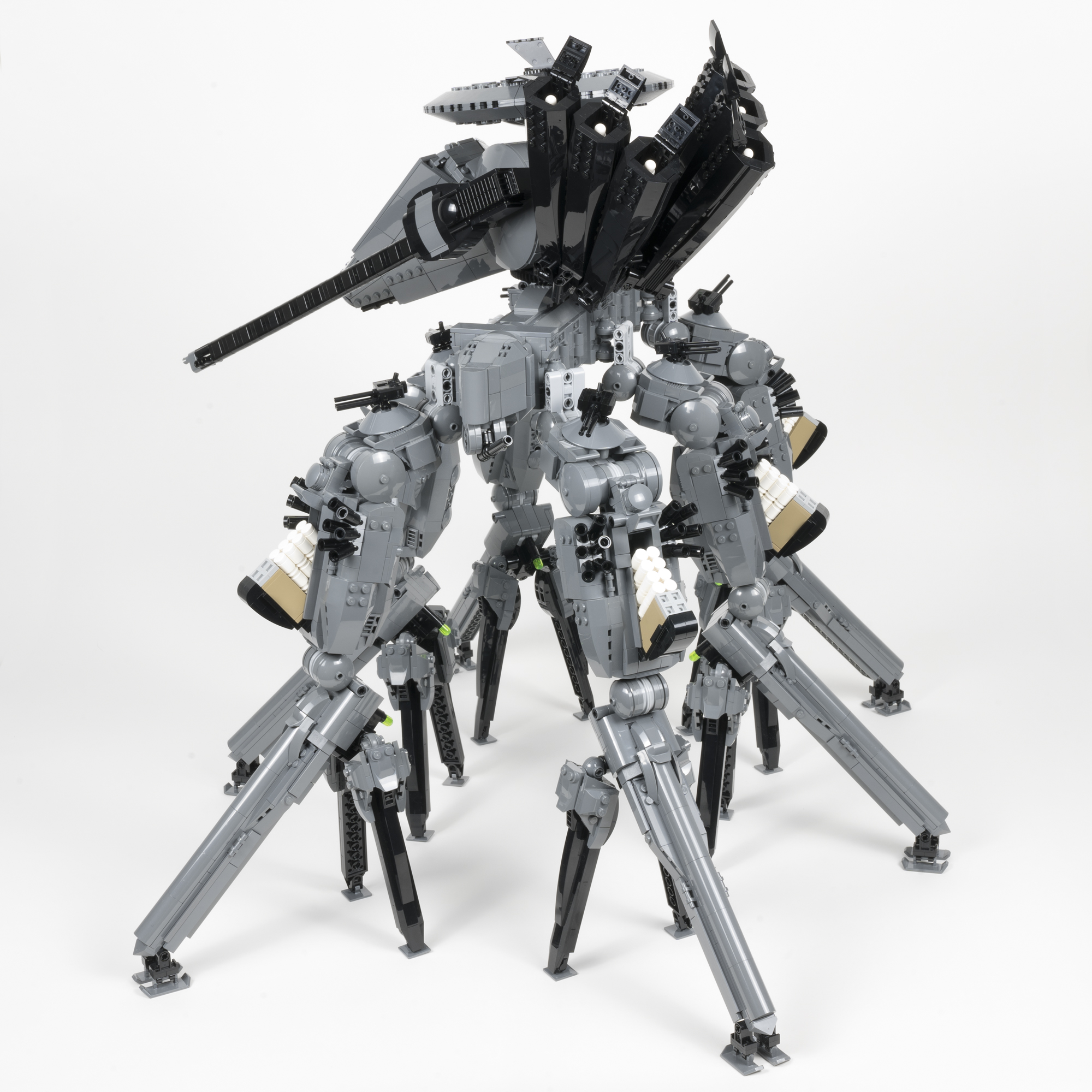 mantis_10.jpg