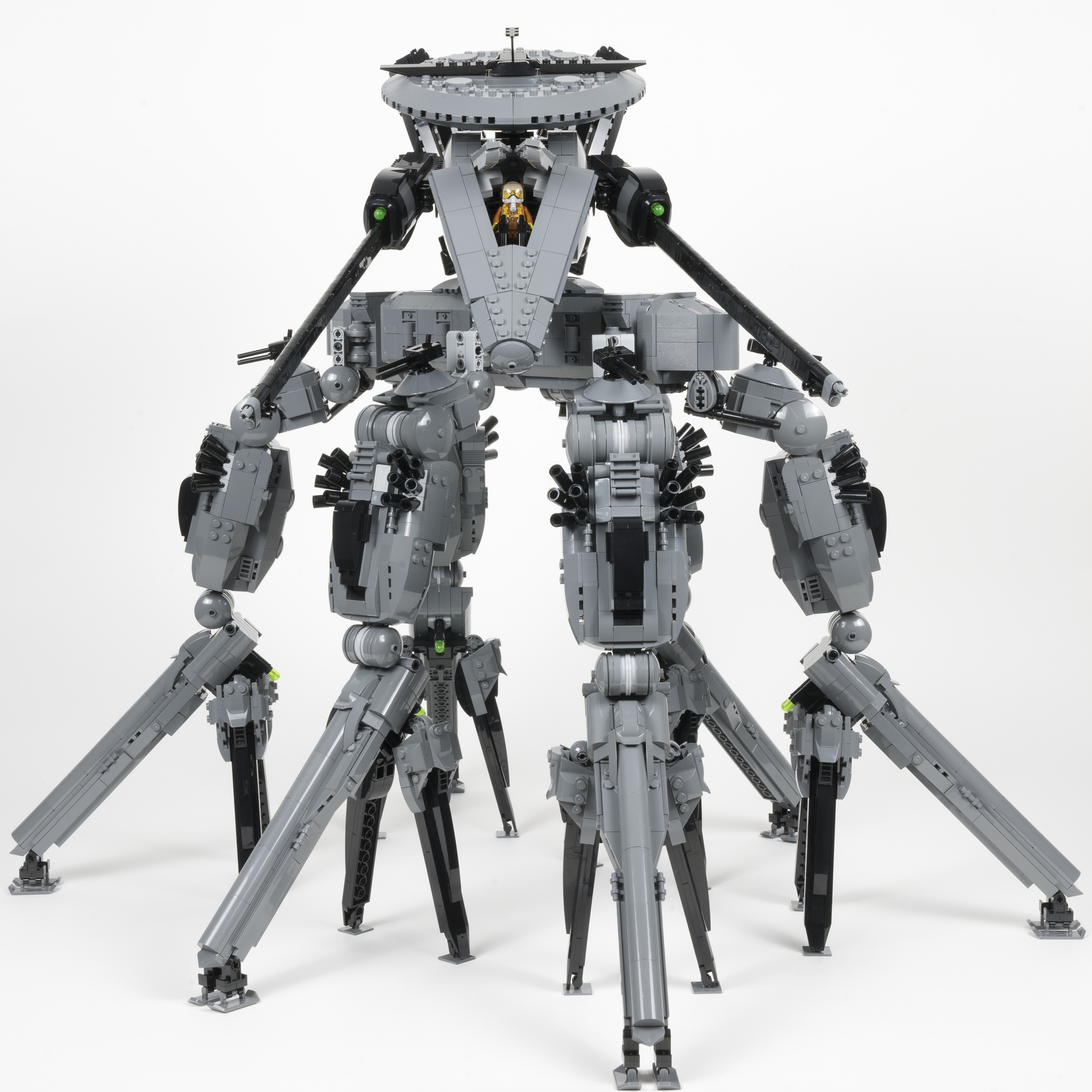 mantis_11.jpg