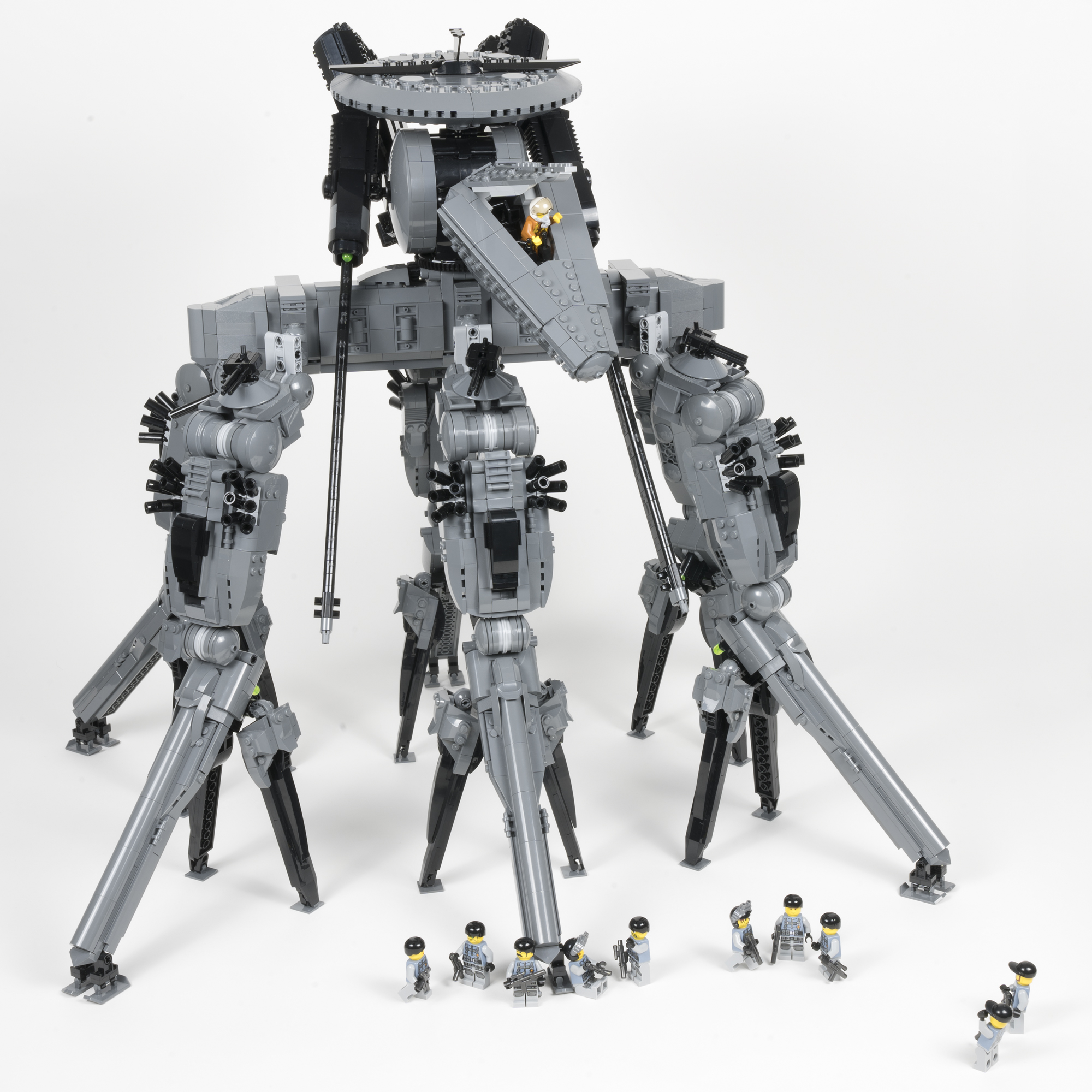 mantis_13.jpg