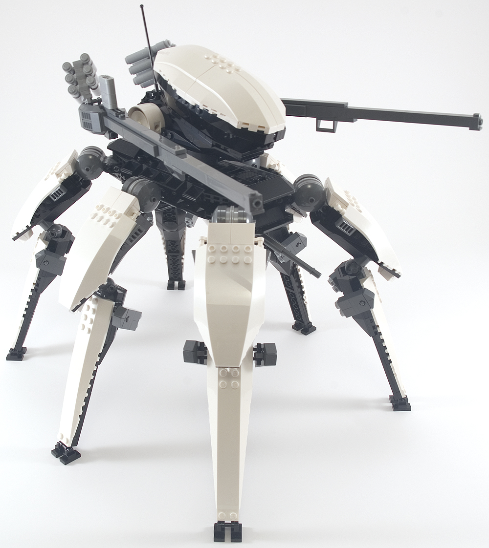 orca_01.jpg