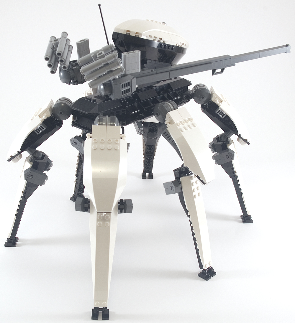 orca_02.jpg