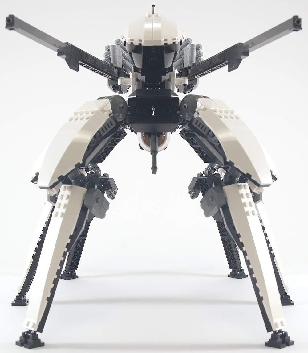 orca_03.jpg