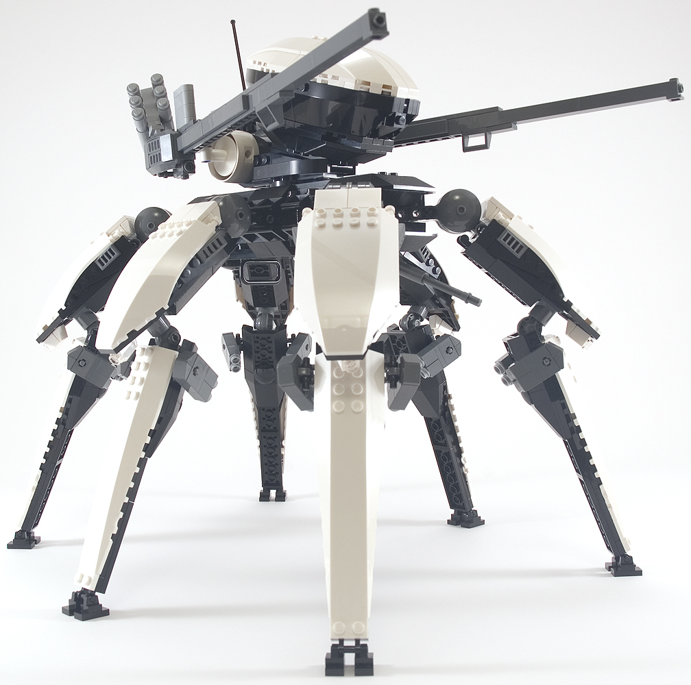 orca_04.jpg