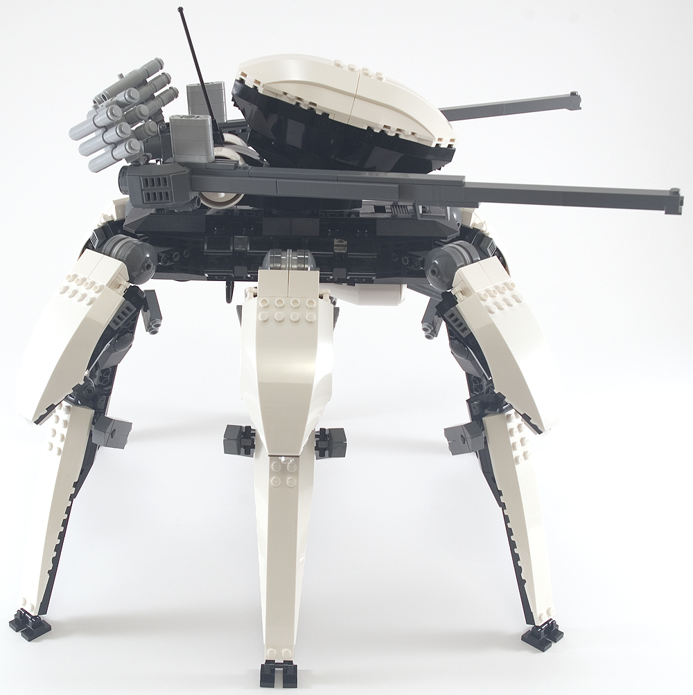 orca_05.jpg