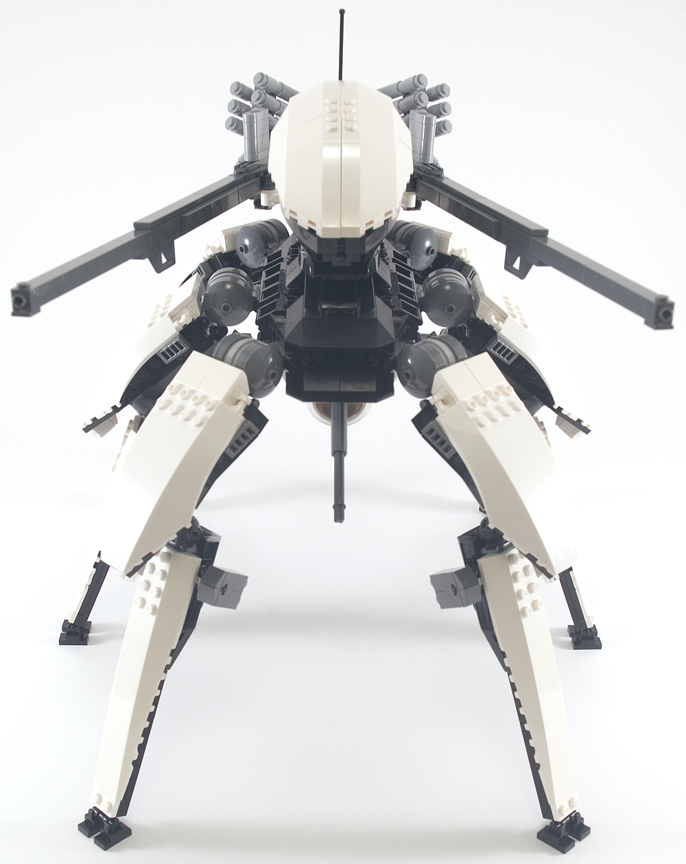 orca_06.jpg