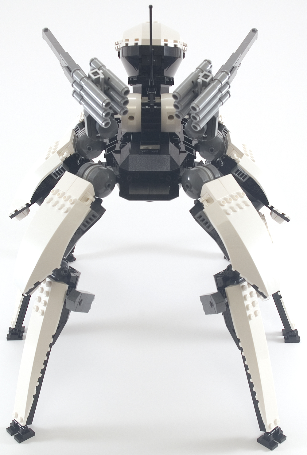 orca_07.jpg