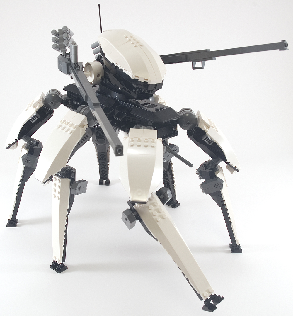orca_08.jpg