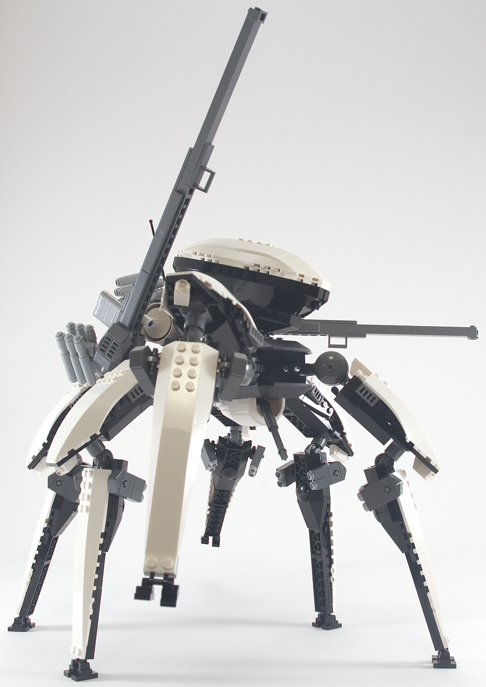orca_09.jpg