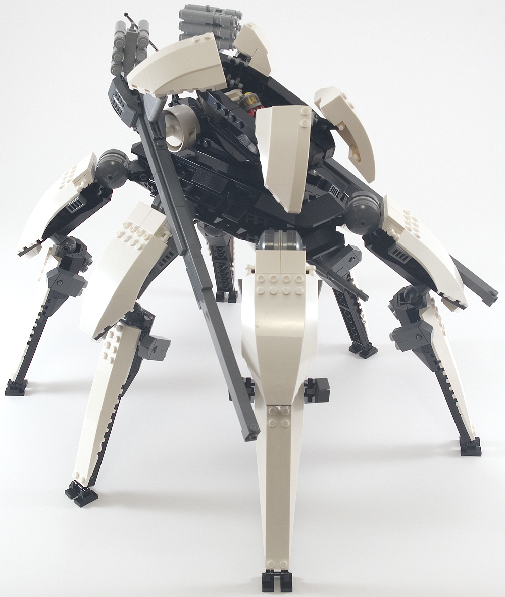 orca_10.jpg
