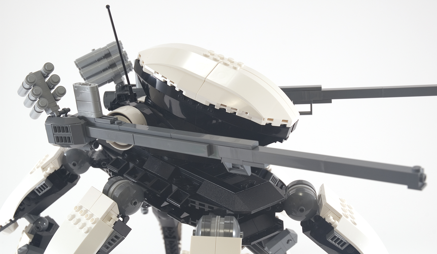 orca_11.jpg