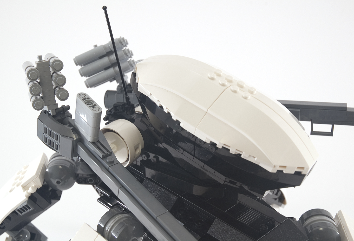 orca_12.jpg