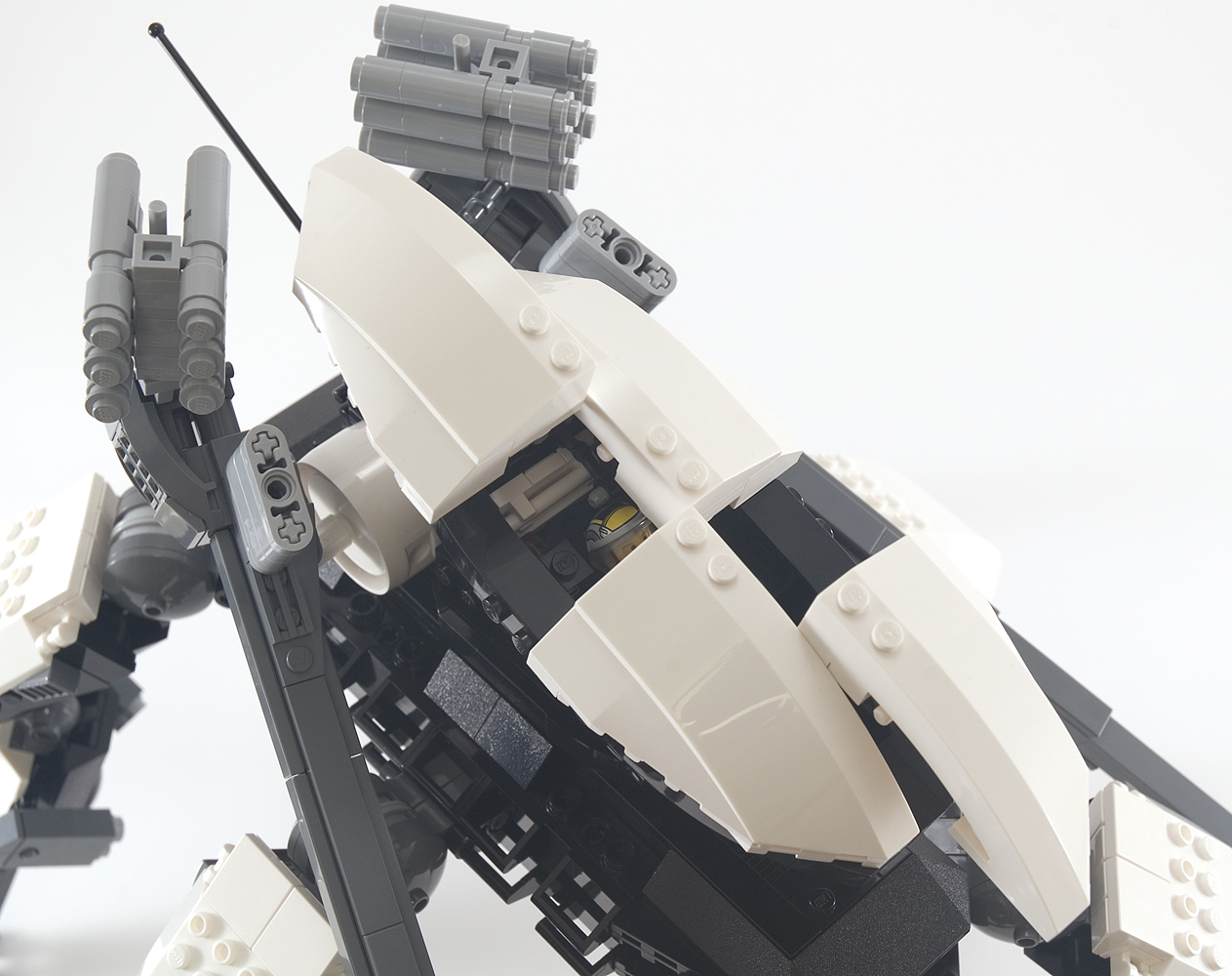 orca_18.jpg