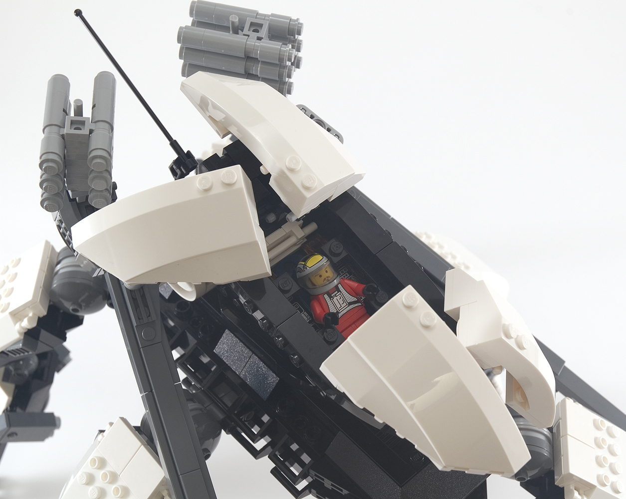 orca_20.jpg