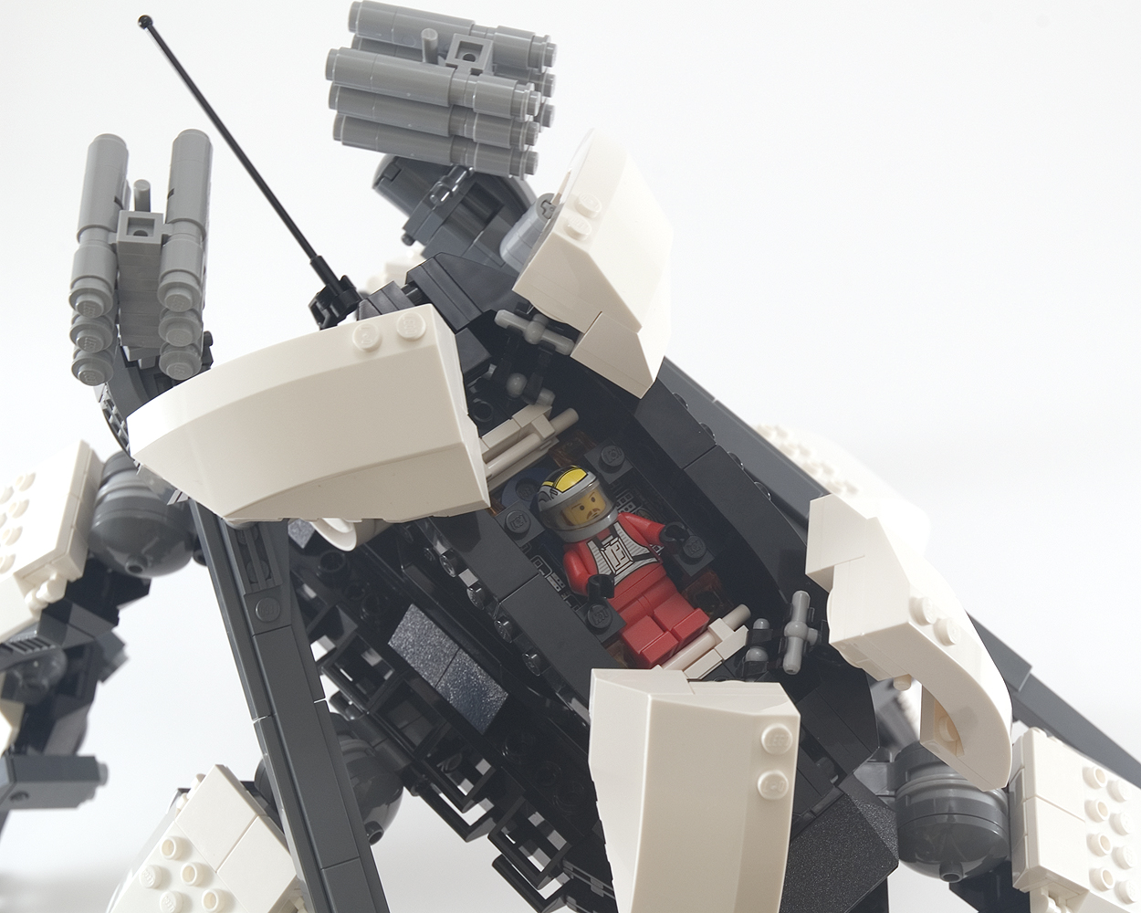 orca_21.jpg