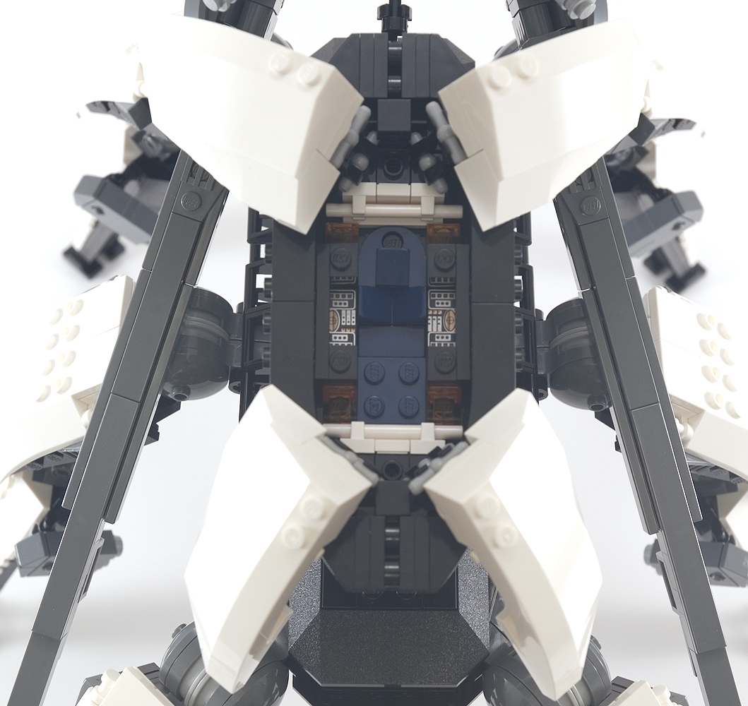 orca_22.jpg