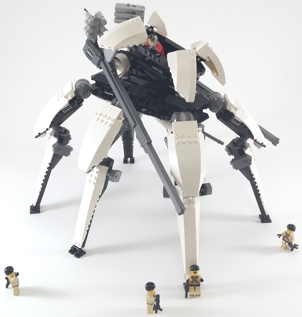 orca_24.jpg