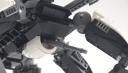 orca_14.jpg